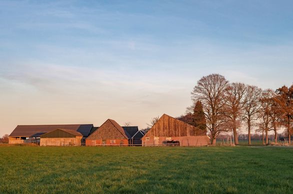 Zabudowa zagrodowa – co to jest i jakie warunki powinna spełniać?