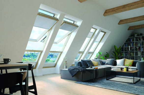 okna Fakro_FDP_GreenView_2024