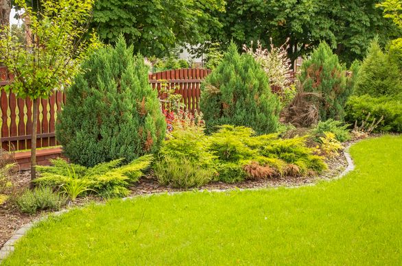 aranżacja ogrodu przy płocie