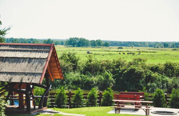 Żwirowa Góra Domki nad Narwią Tykocin