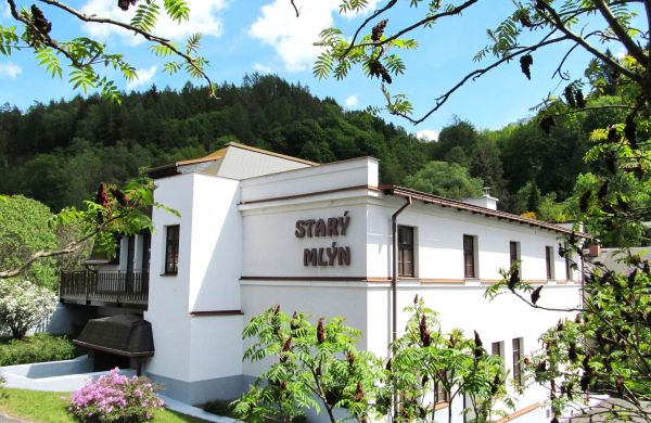 Hotel Starý Mlýn Železný Brod