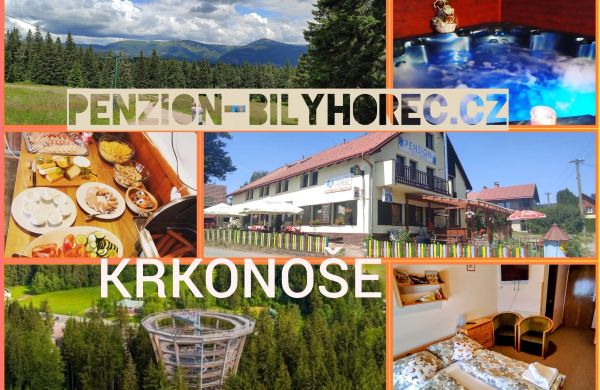 Pension Bílý Hořec Krkonoše Lánov
