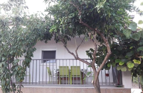 Apartment Sole Vinišće