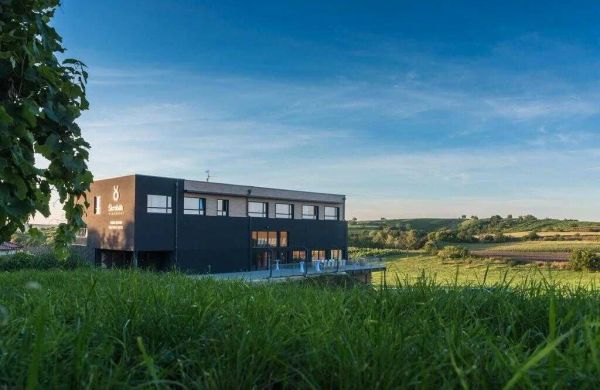 Boutique Hotel Škrobák Čejkovice