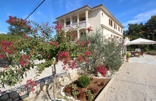 Apartmani Ivanka C. Soline