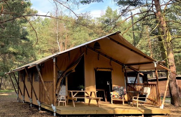 Camp Bursztynowy Las
