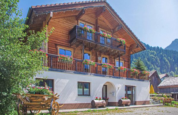 Apartman Sankt Gallenkirch - AVO065