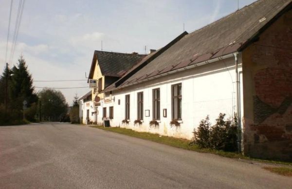 Penzion Myšák Borovnice