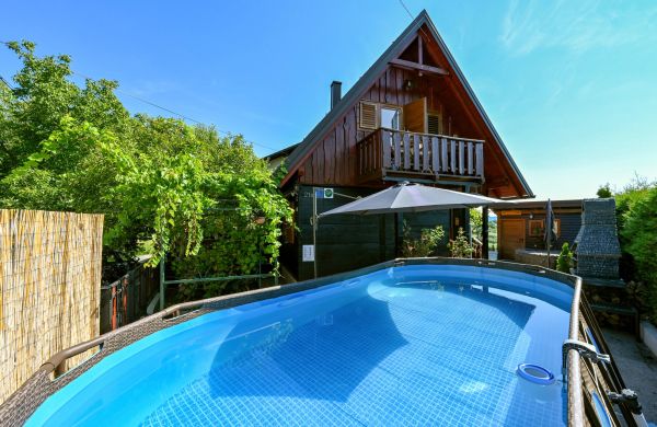 Family Friendly House With A Swimming Pool Donja Stubica, Zagorje - 19236 Donja Stubica