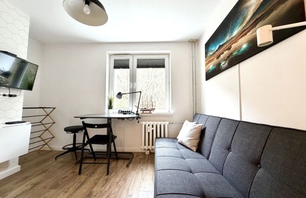 Studio Leśne - ACCO RENT