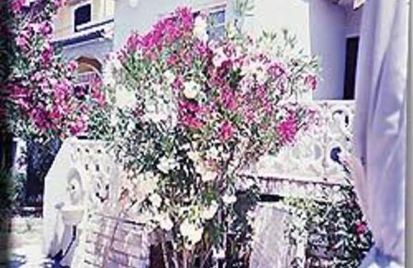Apartmani Hotic Barbat