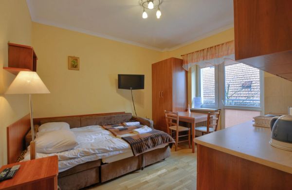 Apartament Tadeusz 310 Krynica-Zdrój