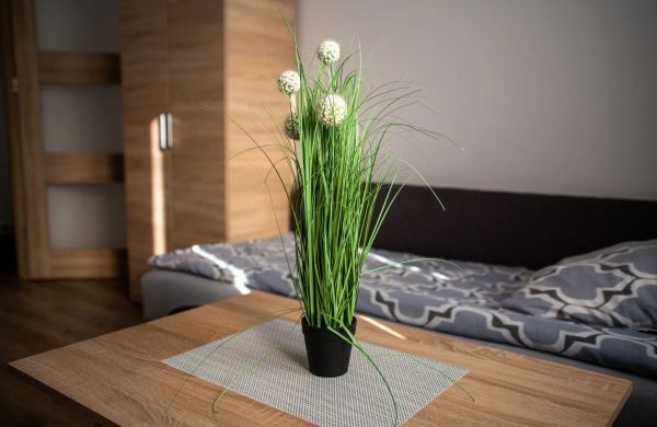 Apartamenty Noclegi u Moniki Janowiec Wielkopolski