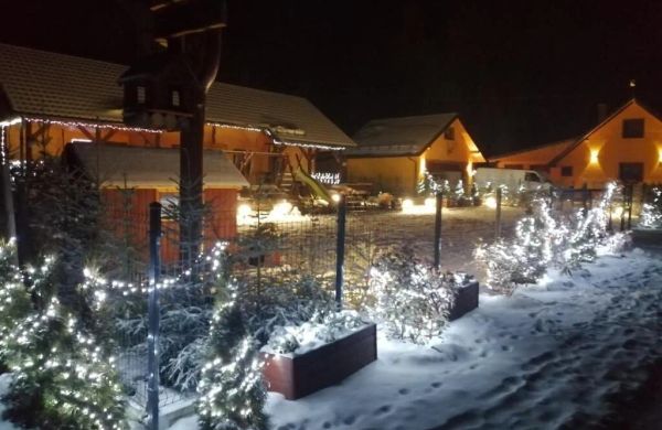 Drewniany Domek Daria i Tomek 2 domki na 8 osób Nowy Gierałtów