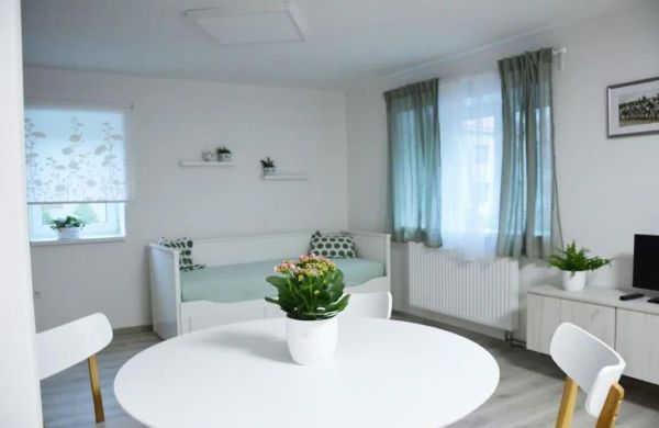 Apartmán Květinový Dům Hluk