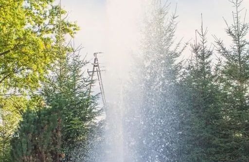 Agroturystyka Dworek Kurowski Szczecin