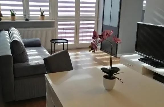 Apartament w Centrum Szczecin