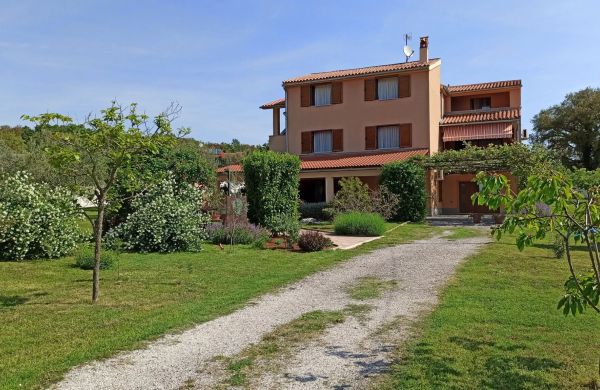 Apartment Olive Pula