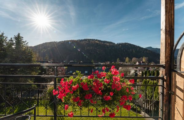 Dom na Zielonym Wzgórzu Szczawnica