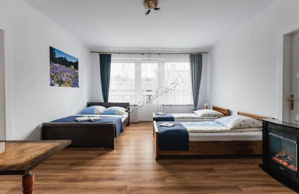 Apartamenty w centrum Zakopane