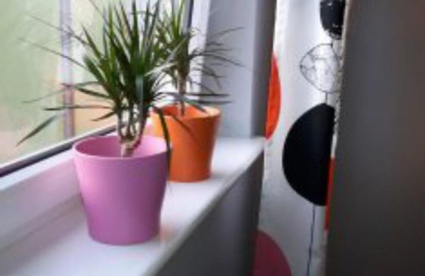 Apartamenty Sedinum - Brama Portowa