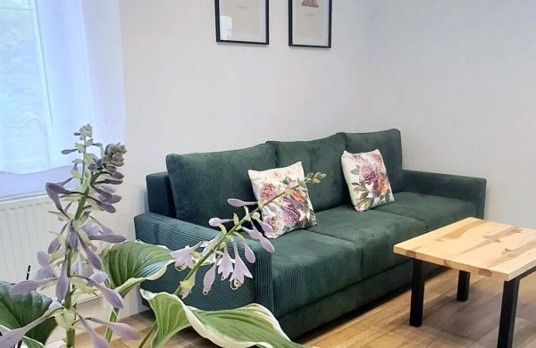 Apartament Dzika Róża Kowary