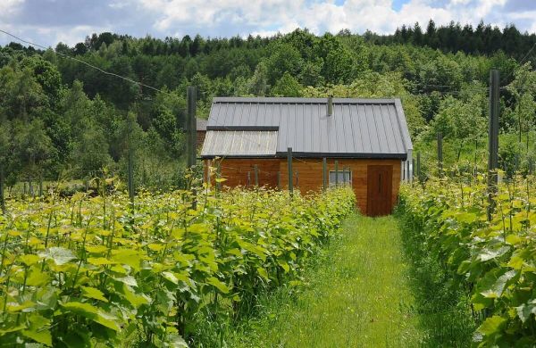 Agroturystyka i Winnica Granice Zgłobień, Rzeszów