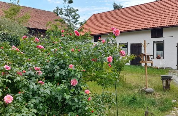 Apartament Ostoja Kamionki