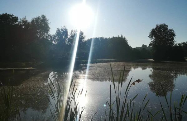 Pokoje Na Stawach Stryszów