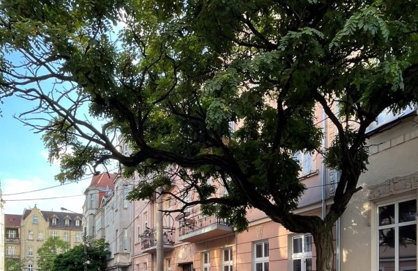 Apartament Długosza 3 Bydgoszcz