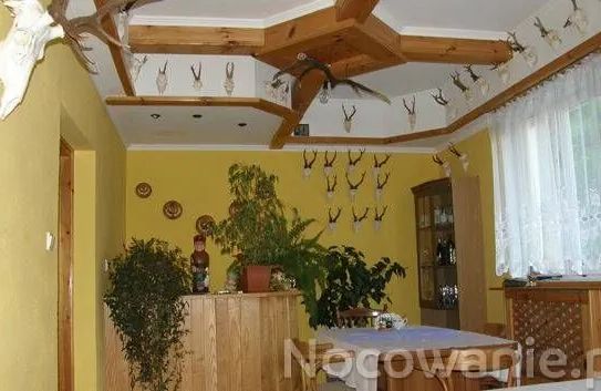 Agroturystyka u Kowala Solina