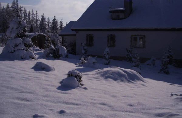 Ściborówka