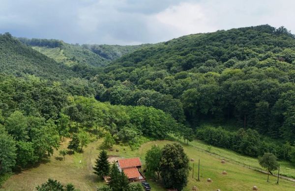 Tilia Pagony Vendégház Borsodnádasd
