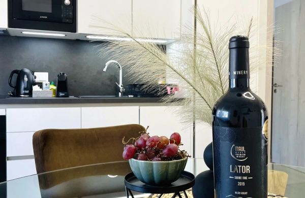Lator Apartmanház Villány