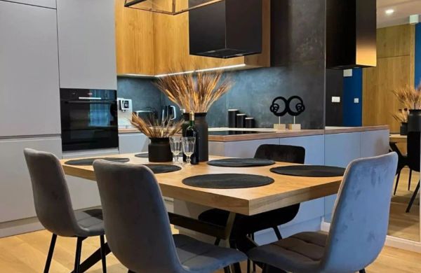 Family & Business Elegant Apartments, Kadzielnia, WDK, Stadion Korona