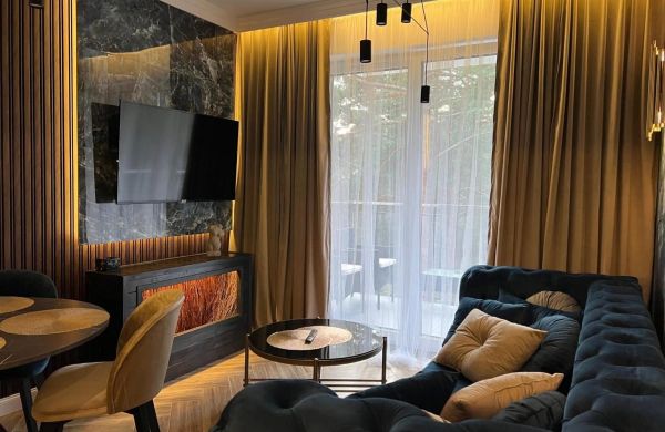 Family & Business Sauna Tężnia Apartments No 9 VIP -Leśny nad Zalewem Cedzyna