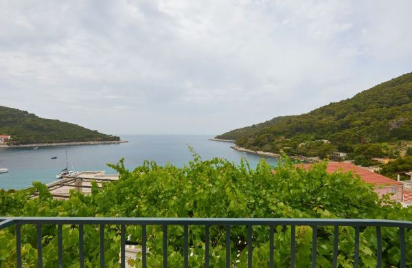 Apartments Jany Saplunara