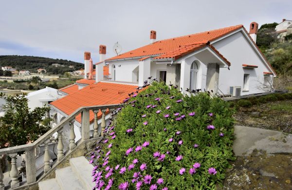 Apartment Vidas Palit