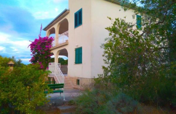 Apartment Nansi Necujam