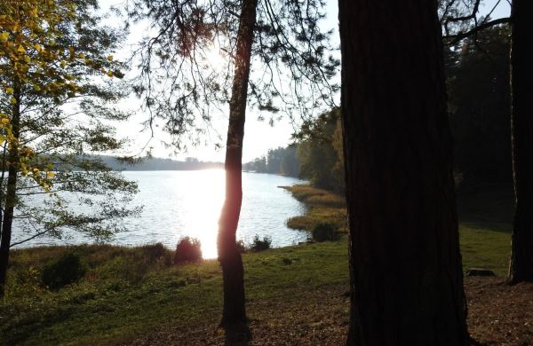 Domki na Chabrowej Augustów