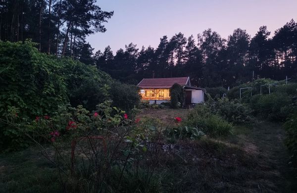 SUPy, Krokodyl & Las Trzebiechowo