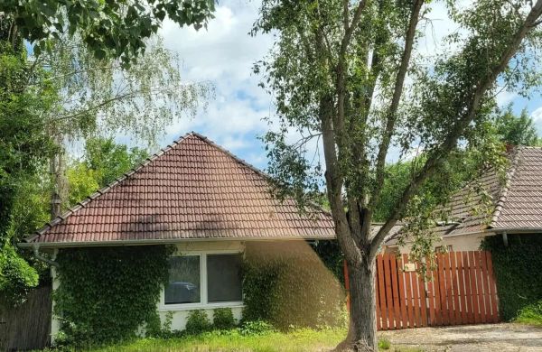 Vadász Liget Pihenő Szatymaz
