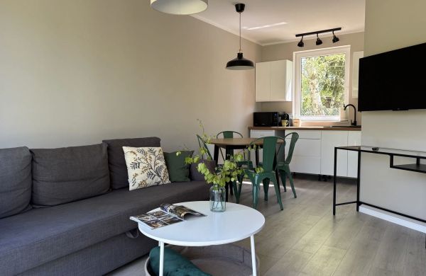 Dzika Brzoza Apartamenty Dwupoziomowe Rusinowo