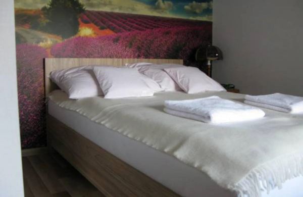 Apartament Lawenda Rzeszów