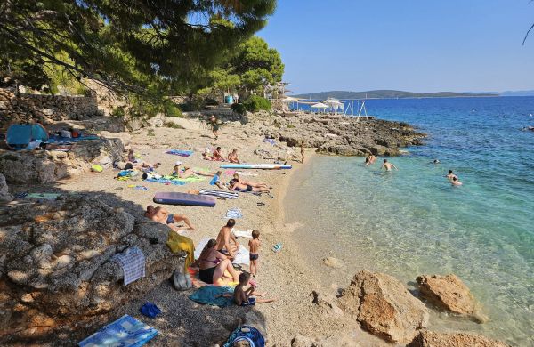 Apartments Sea and Pine Ivan Dolac