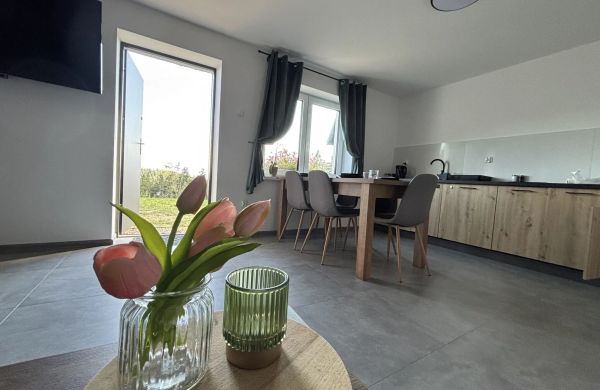 Apartament Zielone Wzgórze Nowy Targ