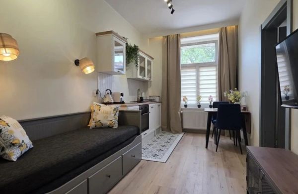 Perfect Stay - Apartament Zamkowy 4A Toruń