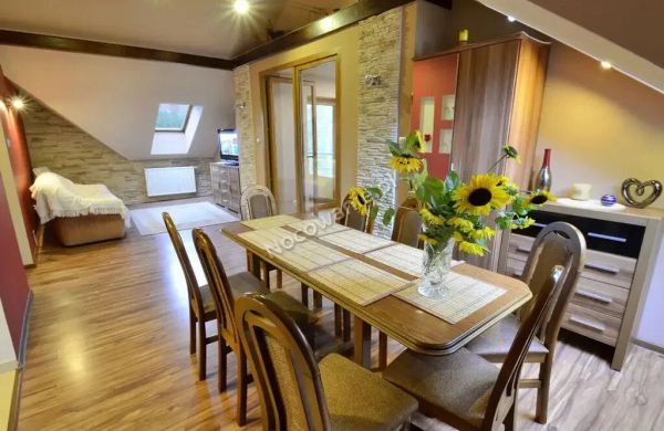 Apartament U Ali Żywiec