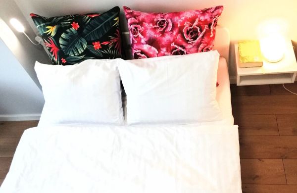 Apartament 2+2 Sztutowo