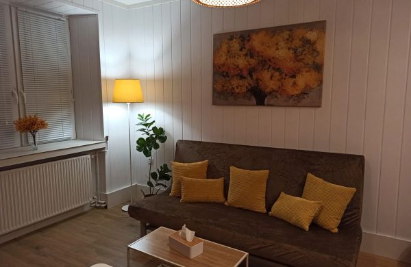 Słoneczny Apartament z sauną w Stroniu Śląskim